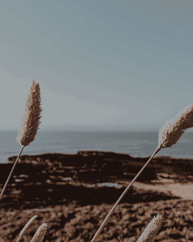 inspiration detox