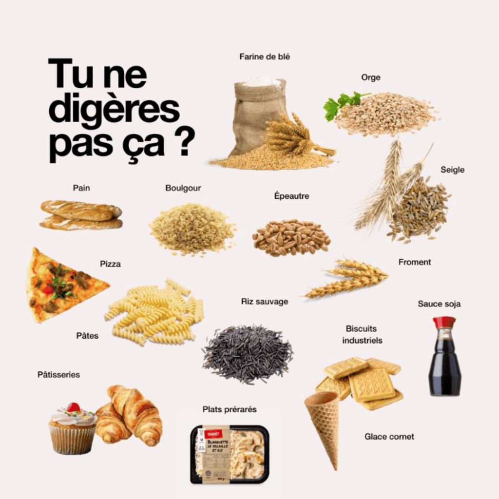 digestion gluten