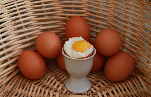oeuf cuisson proteine